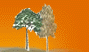barrier